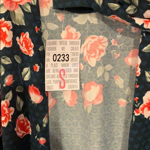 Lularoe Caroline - Picture 3 of 5